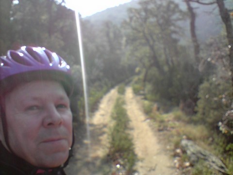 Sunny cycling